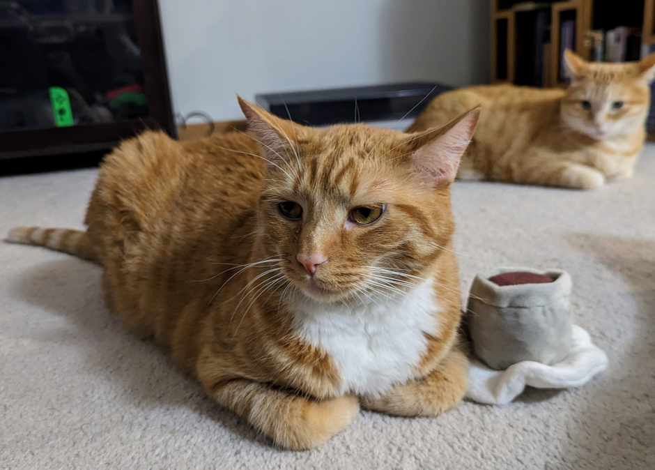 Tom and Finn drinking coffee and vibing